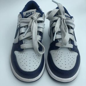 Unisex Nike Air Dunks (Low Top)